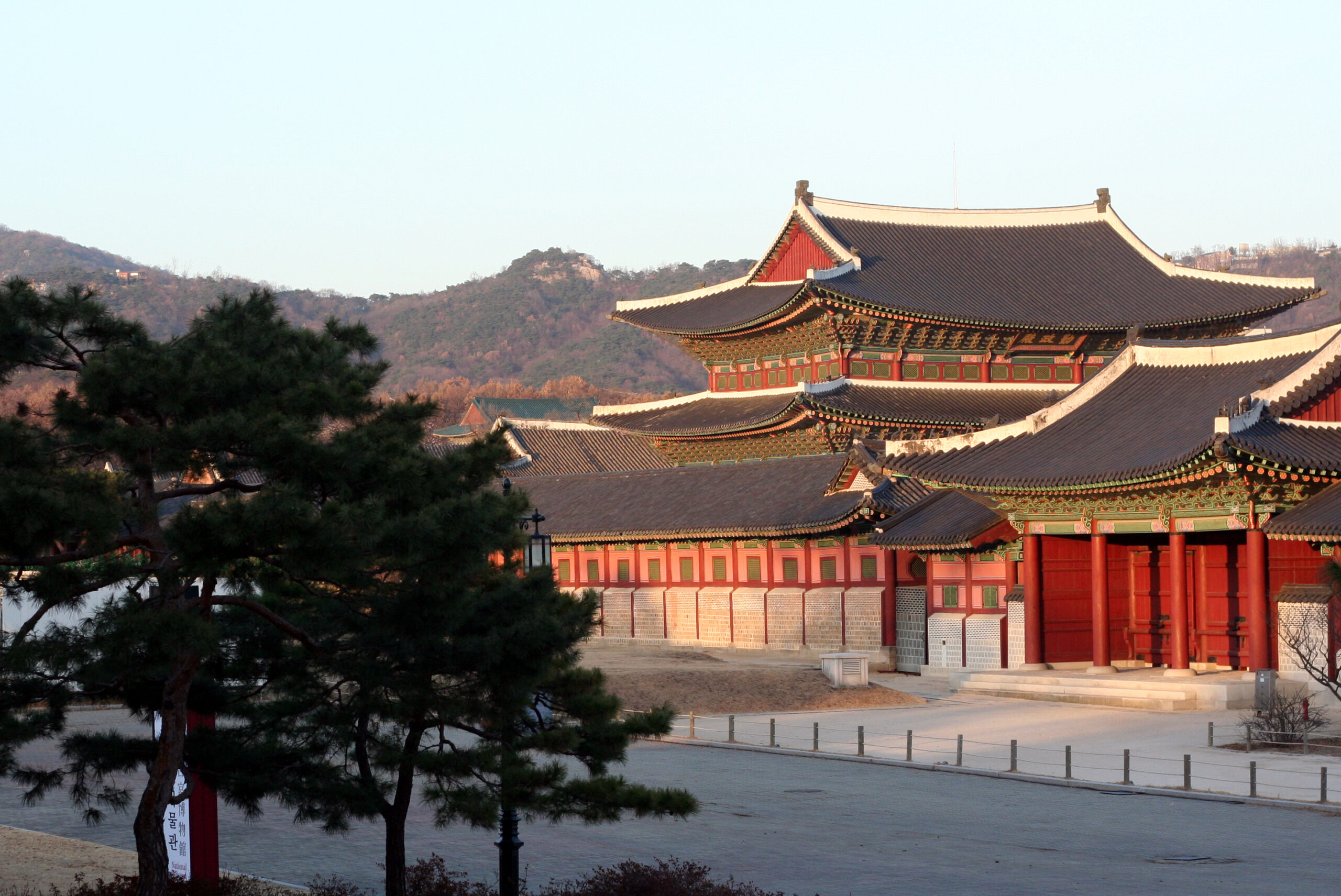 Tree in foreground of an image of Gyeongbokung Palace.